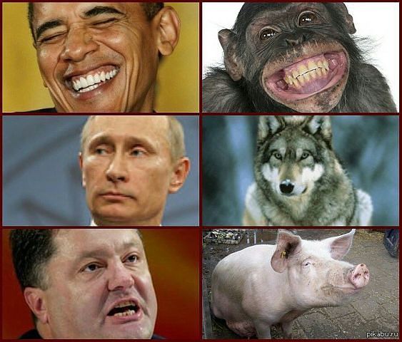 ������������� ��������!