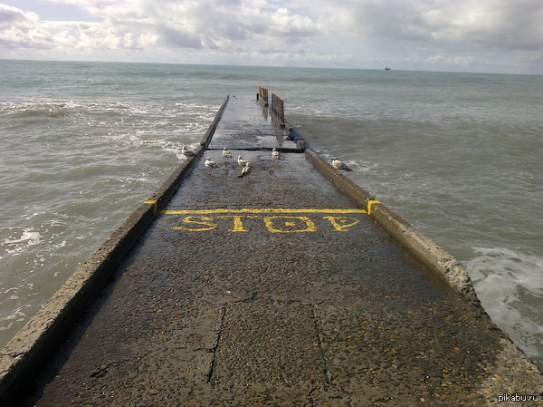 ��������� ����