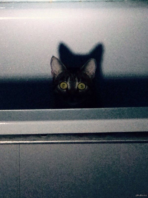 � ������