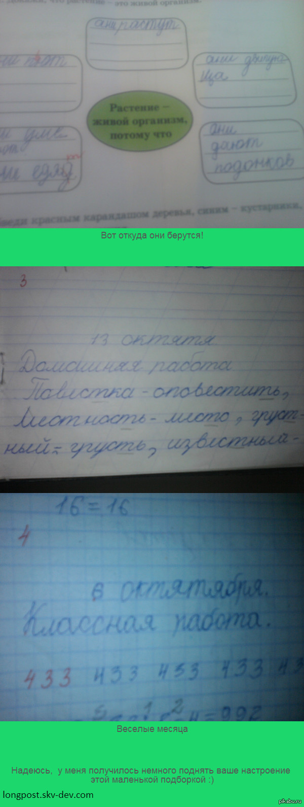 Когда мама учитель