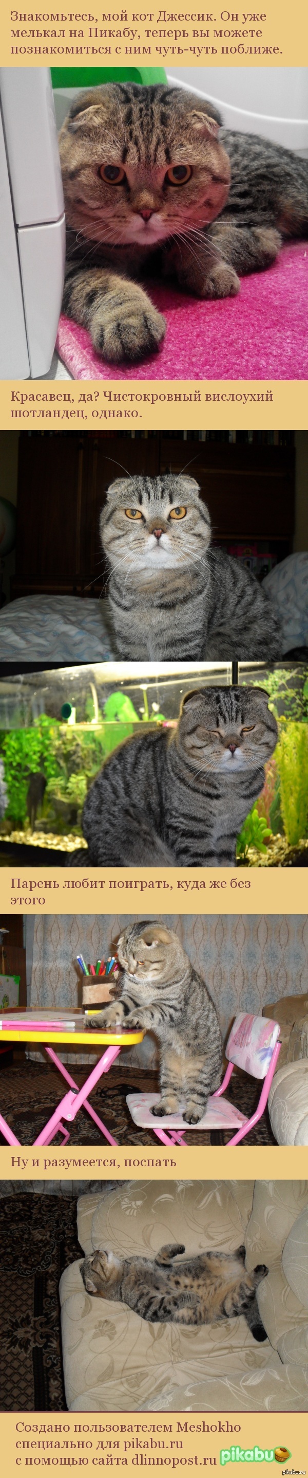 ��� ������� ��� ������������� ����������
