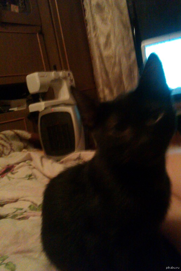 ������ ����.