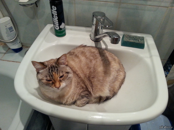 ����� �������� ������� ���� =)