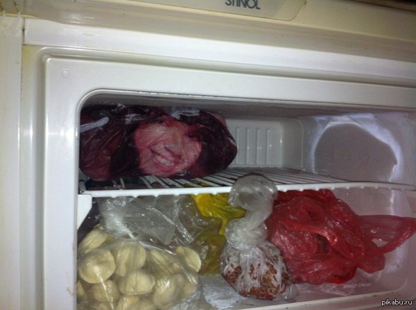 Открываю я ночью морозильник..
