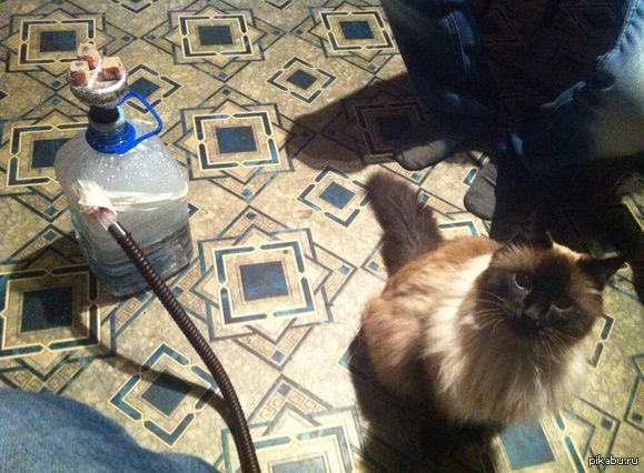 �������������