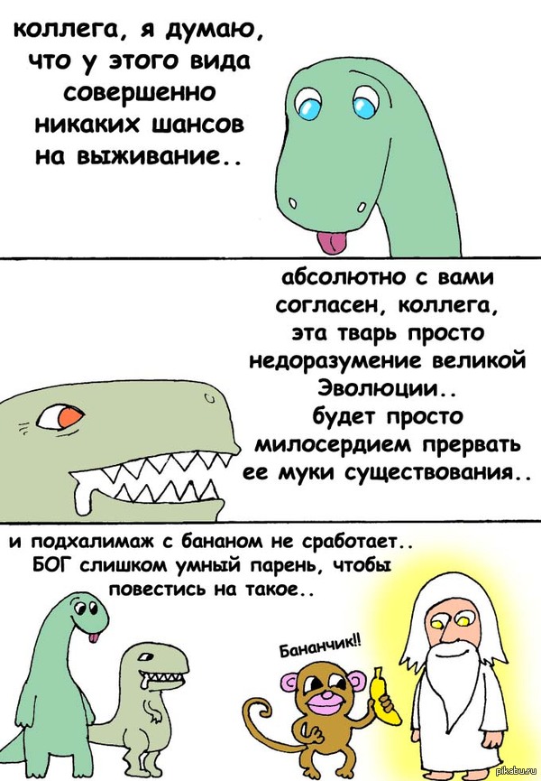 К вопросу об эволюции