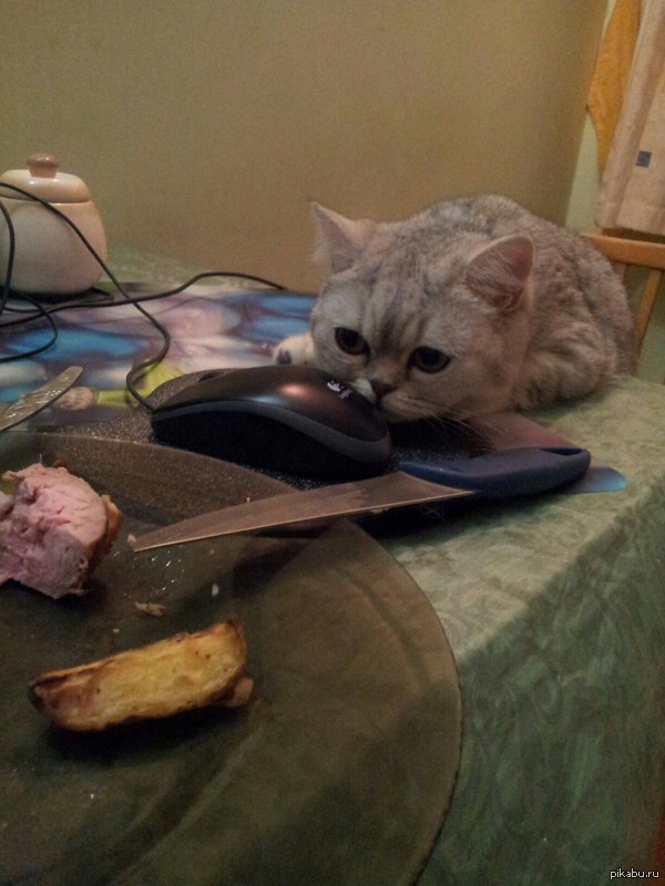       : <a href="http://pikabu.ru/story/ya_prosto_syuda_golovu_polozhua_tyi_eshesh_3040932">http://pikabu.ru/story/_3040932</a>