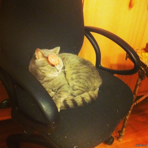 ���������� � �������� ��������