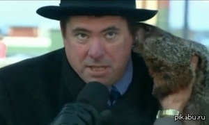 ��� �������� ����� - ��������� ������ �����������??