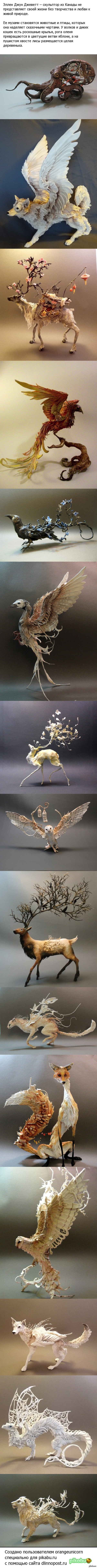 ��������� ����������