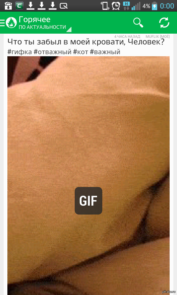 �� �������...����� ����� � ��������, ����� �������� - ����������,  � ����� ��� ������� � ����