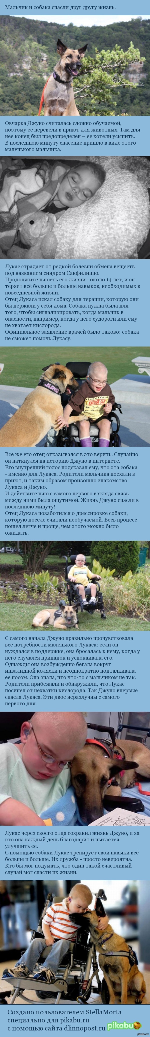 Лукас и Джуно | Пикабу