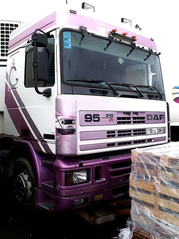 �������������� ����