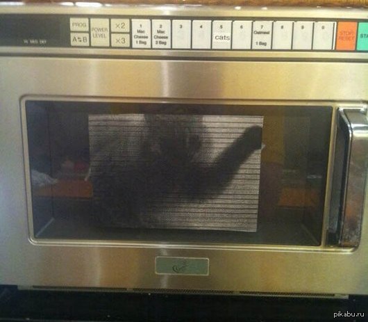 ��� �������