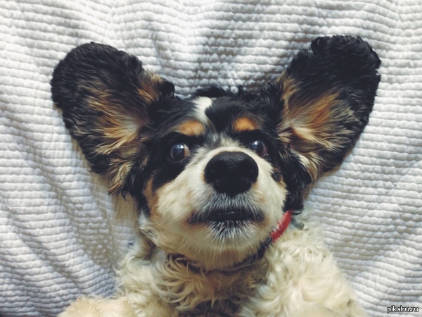 �������� ��� ��������!