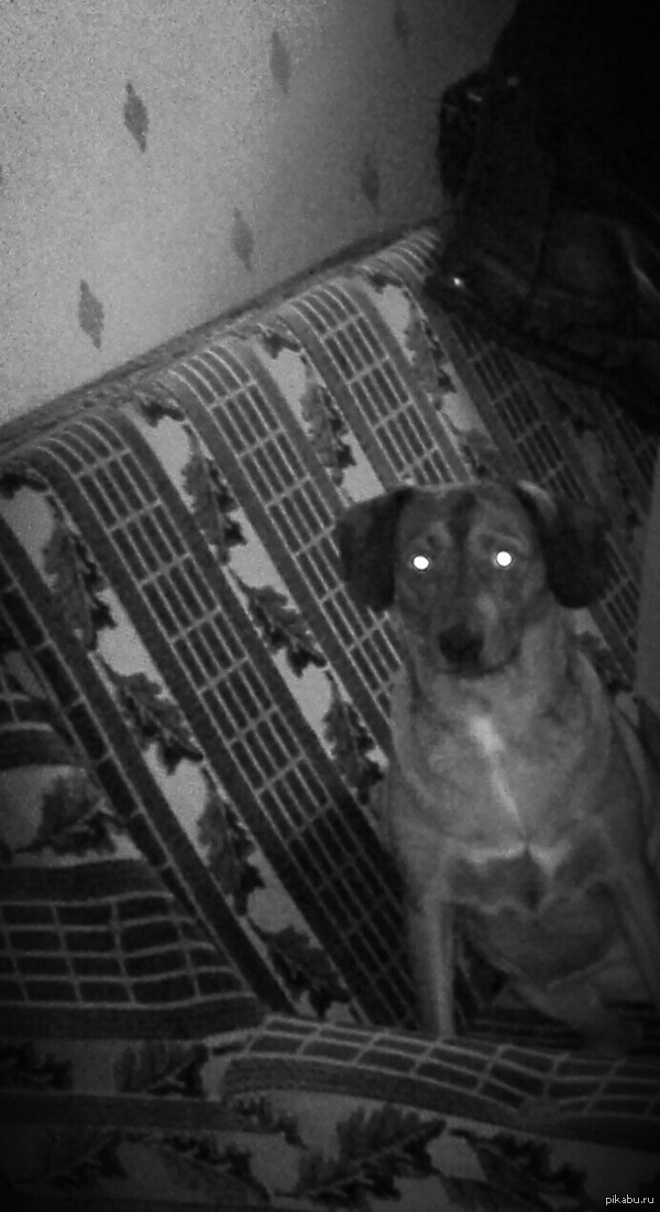 Тот самый момент....