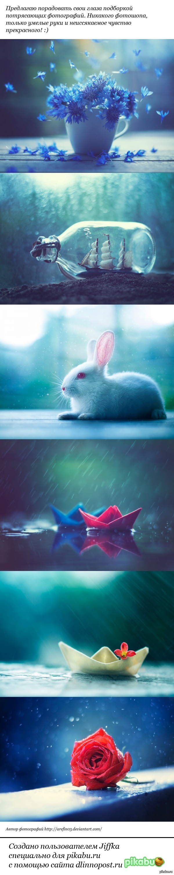 Релакс для глаз | Пикабу