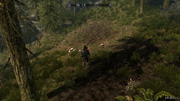 ������� ������ ��������