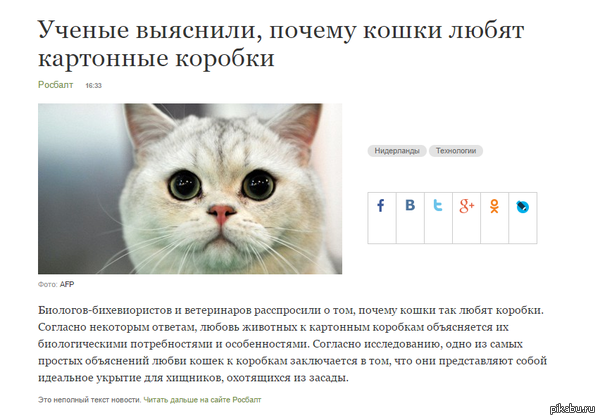 Так вот в чем дело