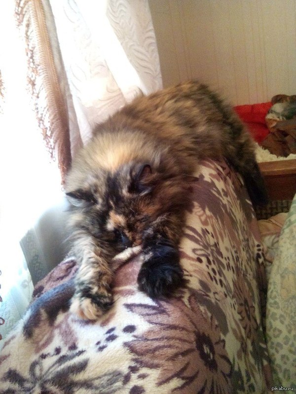 Всегда так спим