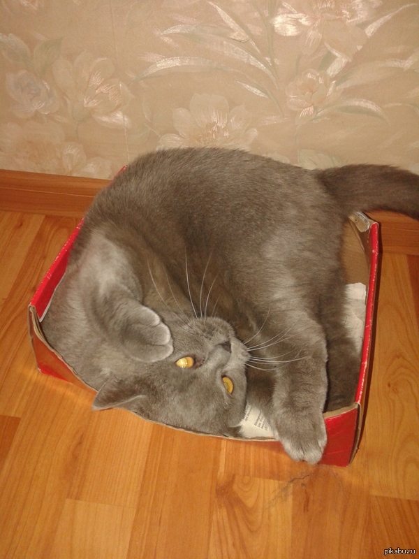 ��� ����...