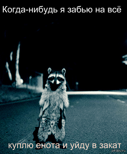 Когда нибудь...