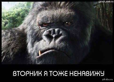 ������ ����...