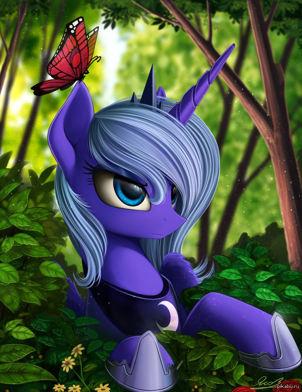 Adorable Luna