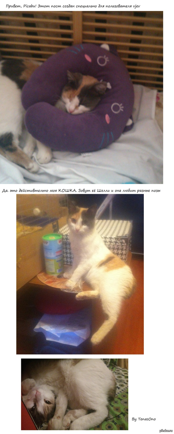 Моя честь задета