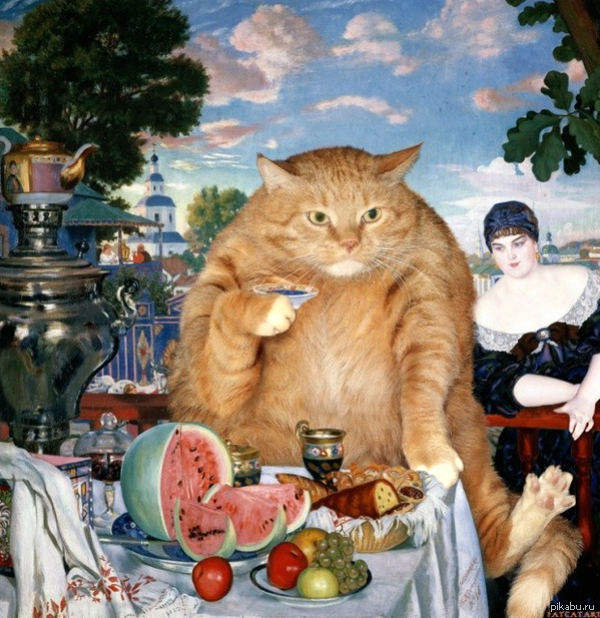 Кото-барыня