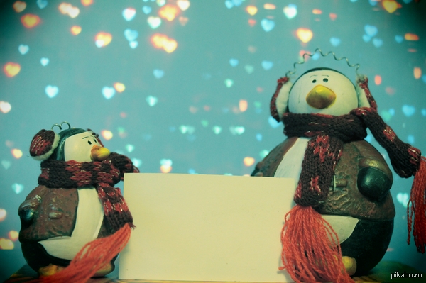 ��������� � 14 �������.