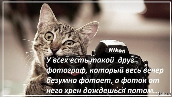 и так всегда!