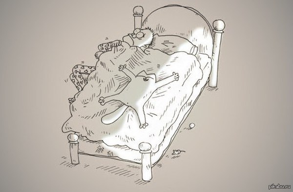 Типичный кот