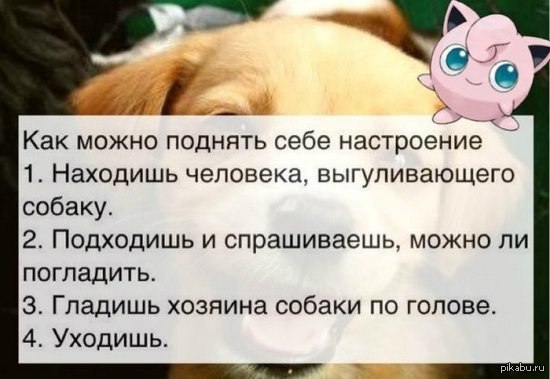 Решила поднять настроение своему знакомому