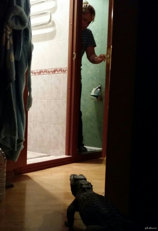 Дома у нас своя атмосфера!