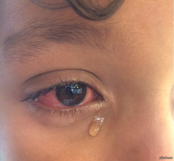 ����� �������� ��������� ����� �������