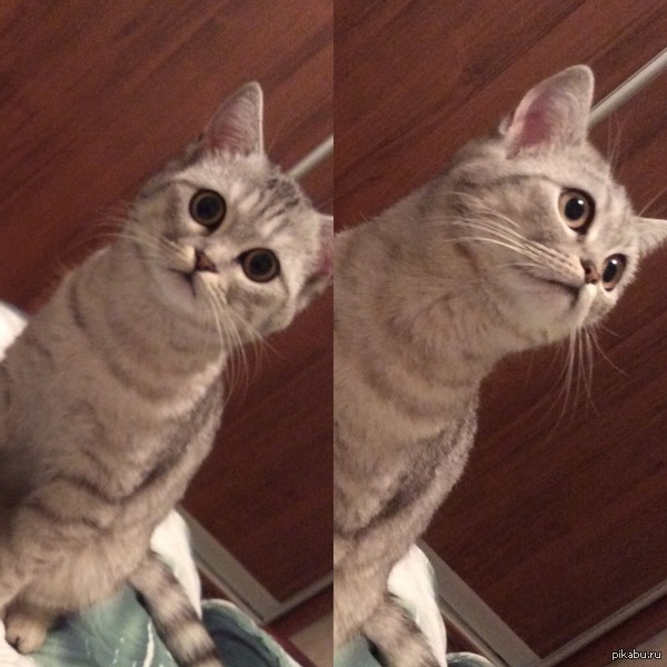 Она все еще ненавидит, как я пою