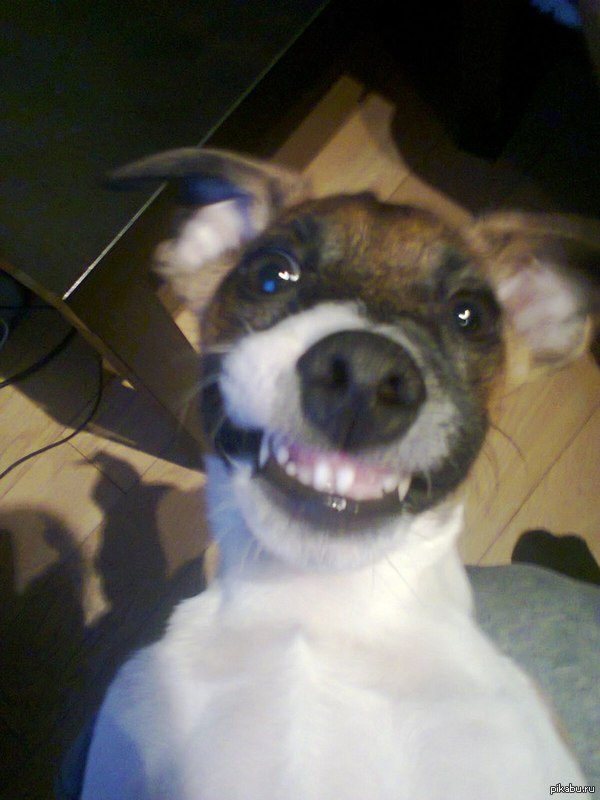 Все мой же Джек.