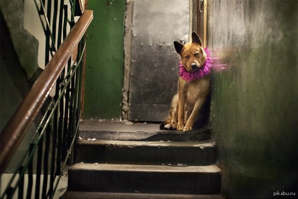 �������� �������