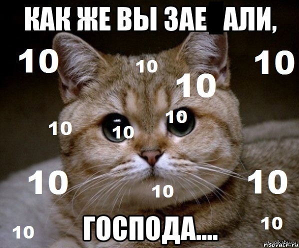 Как же вы... | Пикабу
