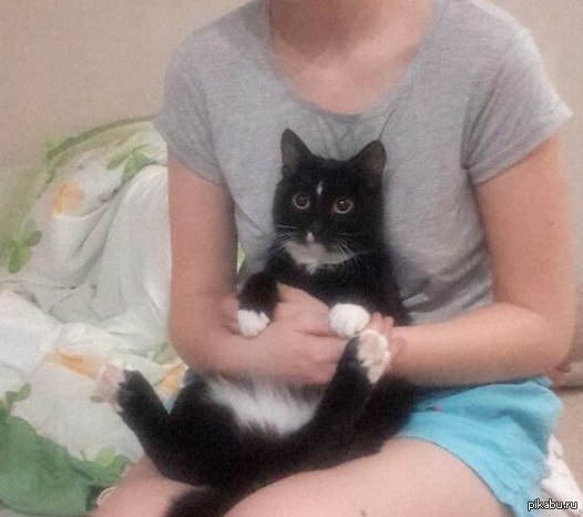 �� �� ��� ����� :3