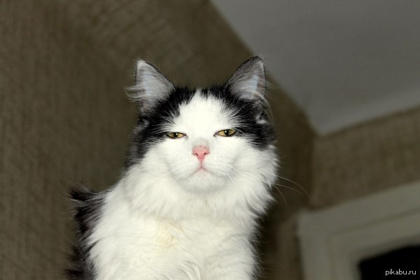 �������������