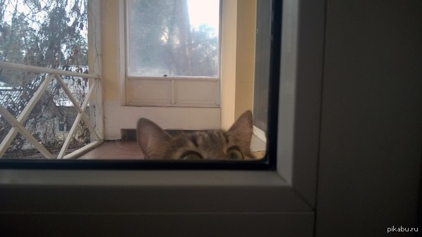 ��� ������� ������� ����� ��������� �� ������