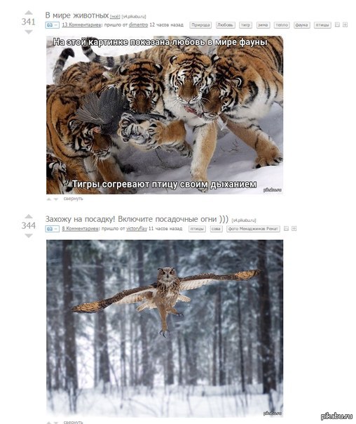 ���������)