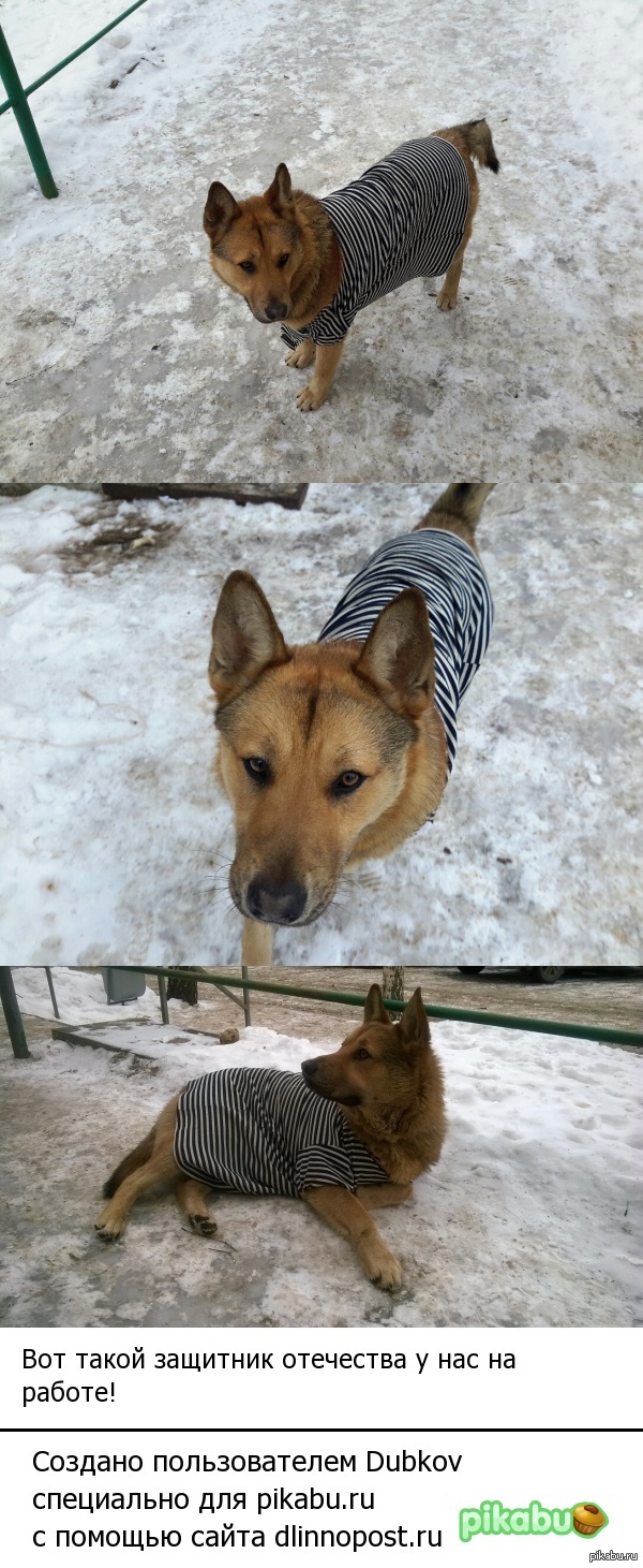 Защитник отечества!