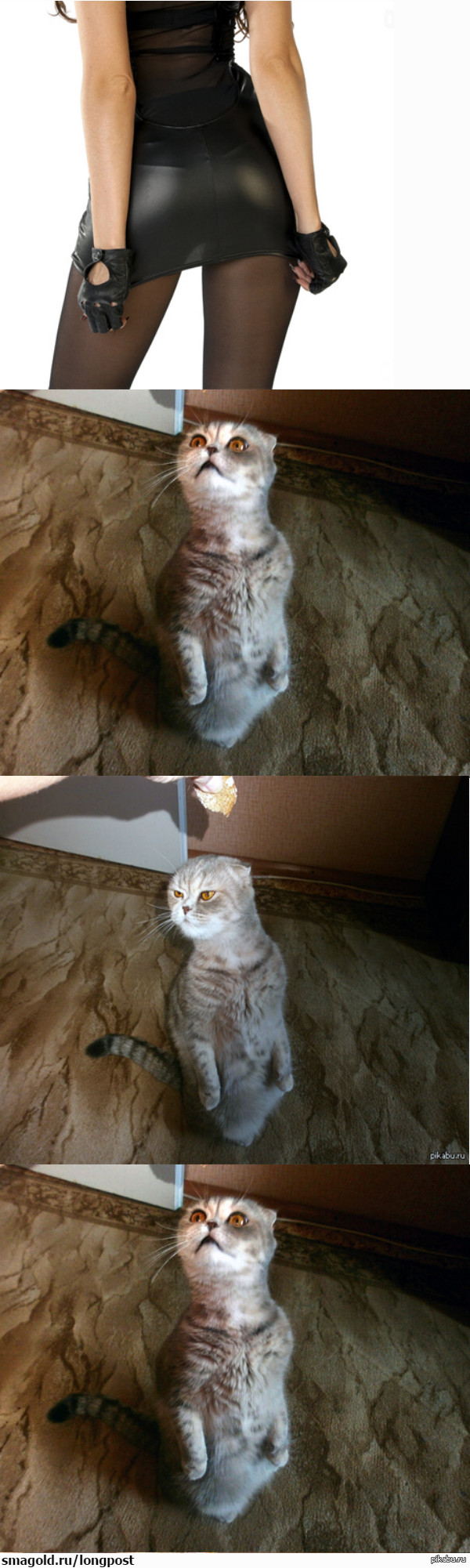 ���� ���!