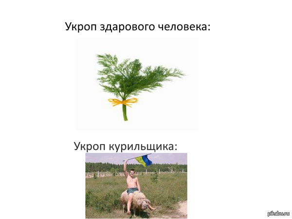 �����������)