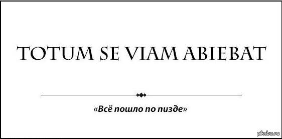 Урок Латыни. | Пикабу