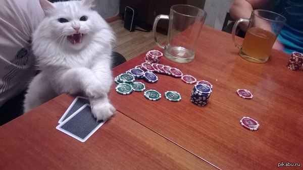 "�� �������!"