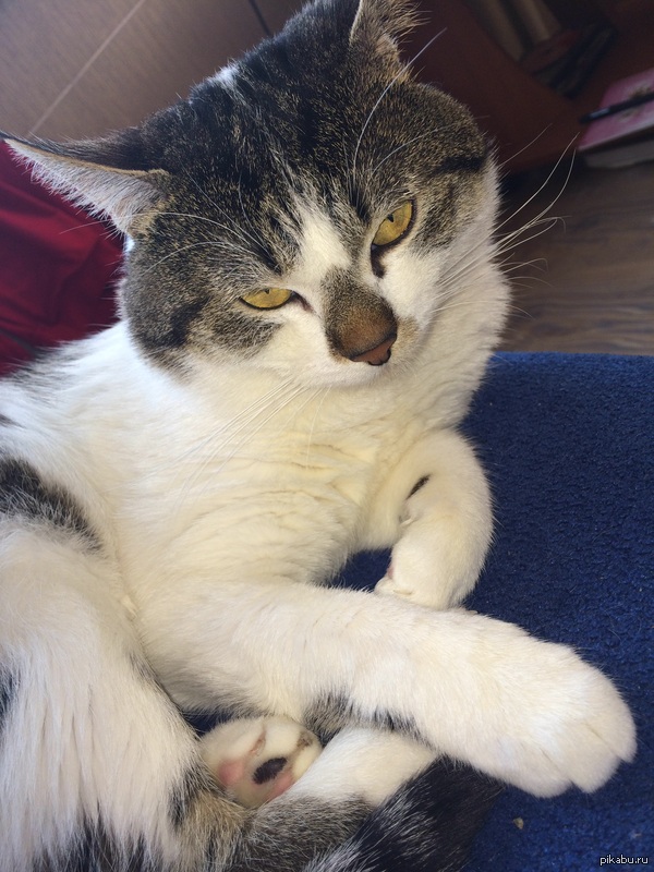 ��� ������� � ��� � ���� �������